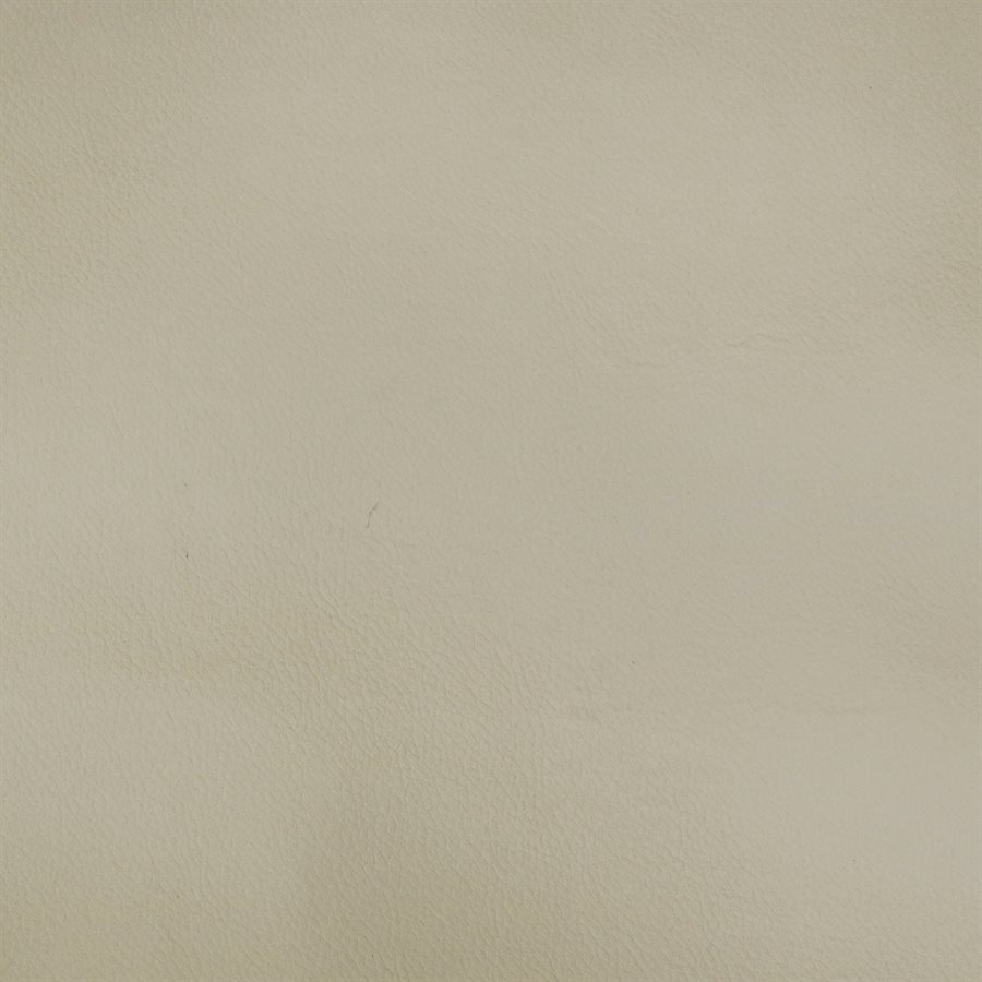 522 張White Leather Surface圖像、照片及影像- Getty Images
