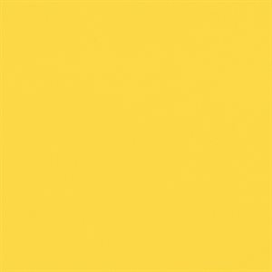 Morbern Seabrook Marine Vinyl 'D' Action Yellow