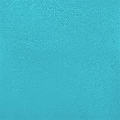 Softside Zander Marine Vinyl Aquamarine