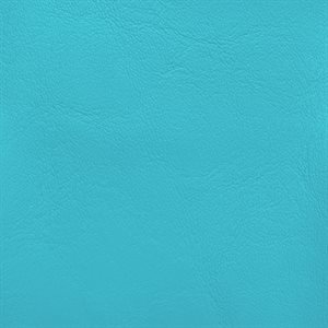 Softside Zander Marine Vinyl Aquamarine