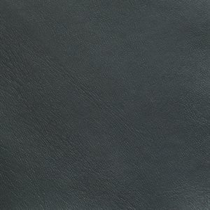 Sample of Lunar Marine Vinyl Dark Pewter