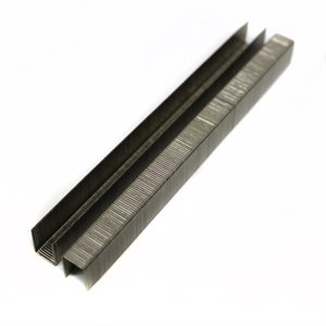 Beck Staples 3/8" x 1/2" Stainless Steel