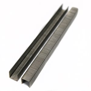 Beck Staples 3/8" x 3/8" Stainless Steel