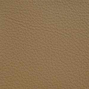 Sample of Prodigy Marine Vinyl Empire Tan