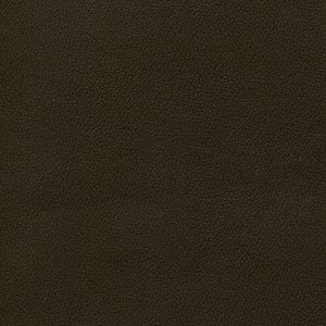 Enduratex Independence Contract Vinyl Espresso