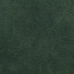 Morbern Carrara Automotive Vinyl Forest Green