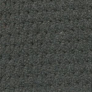 Jupiter Automotive Cloth Graphite