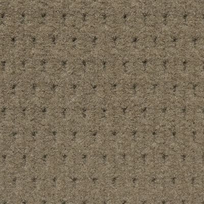 Jupiter Automotive Cloth Medium Beige