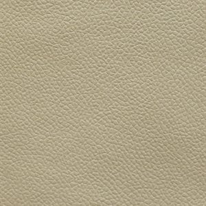 Morbern Longitude Automotive Vinyl Light Cashmere