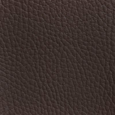 Softside Beluga Marine Vinyl Mocca