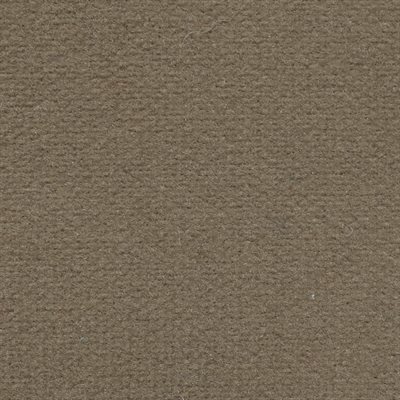 Neptune Automotive Cloth Medium Beige