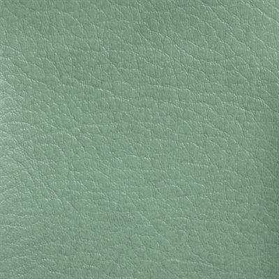 Softside Allegro Marine Vinyl Sage Green