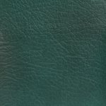 Softside Allegro Marine Vinyl Shadow Green