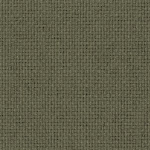 Sherpa Tweed Cloth Moss 54" 