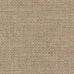 Shire Tweed Cloth Canvas 54" 