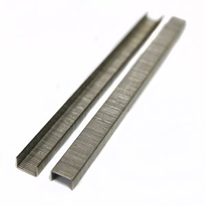 Tego Staples 3/8" x 1/4" Stainless Steel