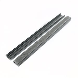 Tego Staples 3/8" x 1/4" Galvanized