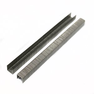 Tego Staples 3/8" x 3/8" Stainless Steel