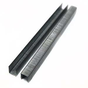 Tego Staples 3/8" x 1/2" Galvanized