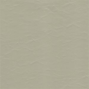 Sample of EZ Wallaby Automotive Vinyl Neutral