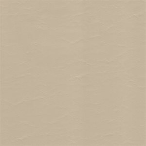 Sample of EZ Wallaby Automotive Vinyl Tan